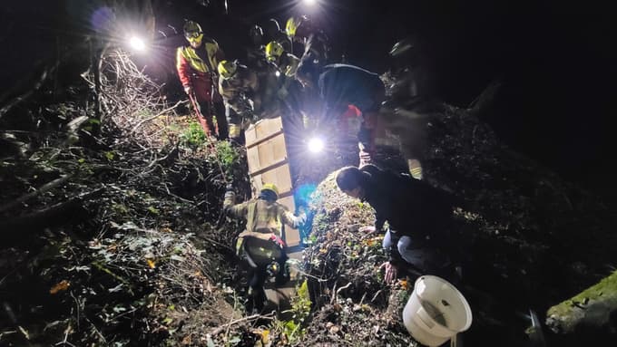 V luknjo so ob konja spravili posebno lestev.