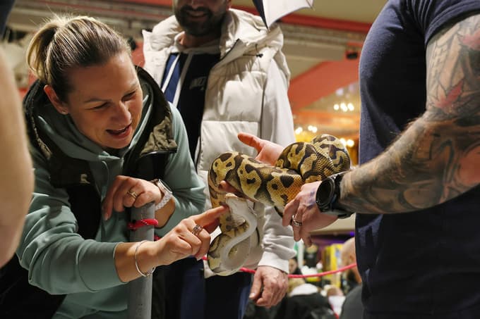 (FOTO) Od eksotične žabe do ščurkov za vse okuse