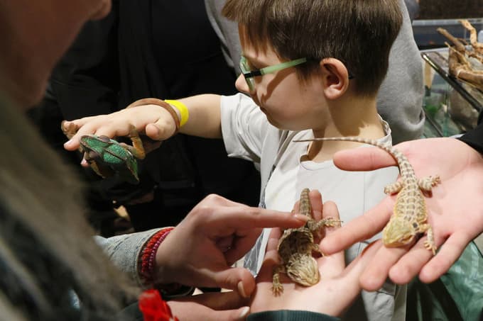 Sejem privabi tudi obiskovalce, ki  pridejo živali le gledat 