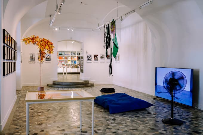 Utrujene palme v UGM Kabinetu 