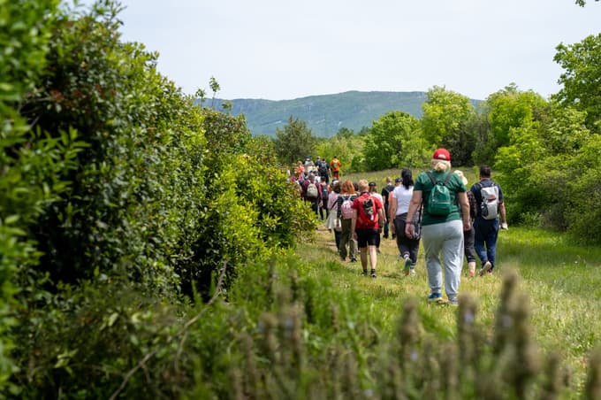 Pomlad v vzhodni Istri diši po vinu, špargljih in dobri družbi