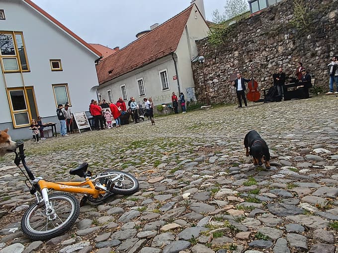 Koncert za kužke v sklopu Janus festivala v Celju je hkrati sproščen dogodek za lastnike.