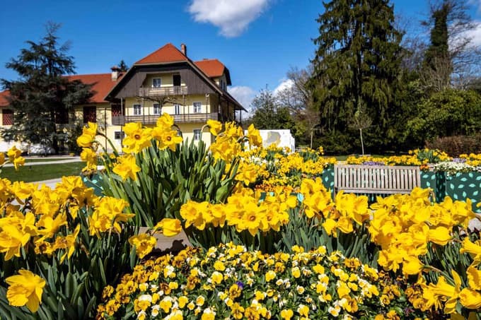 Arboretum Volčji Potok: Novost - cvetoči labirint