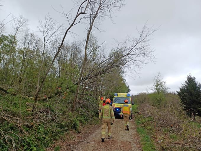 Gasilci so morali požagati veje in grmičevje, da so reševalcem omogočili dostop do poškodovanega moškega.