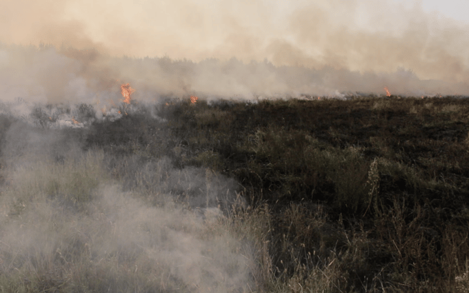Mila Panić, Goreče polje, 2017, HD video, 106 min, zajem zaslona, z dovoljenjem umetnice 