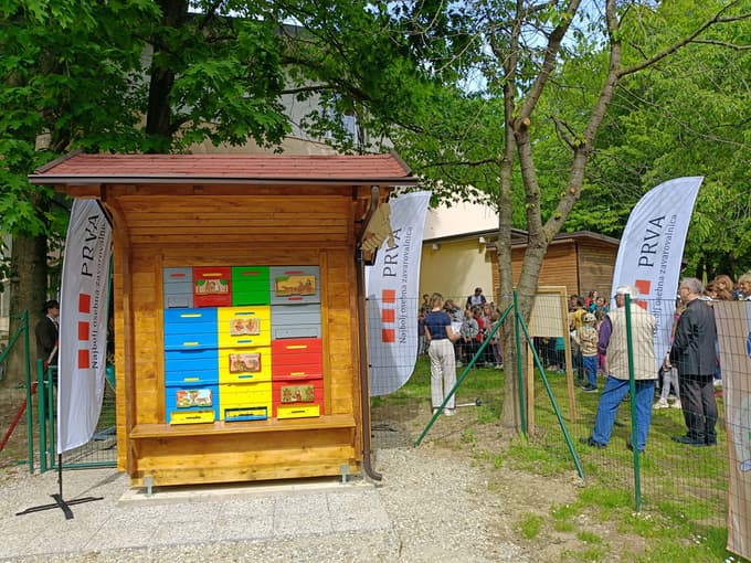 učni čebelnjak, OŠ kamnica, čebelarsko društvo Kamnica-Bresternica, čebele, otvoritev