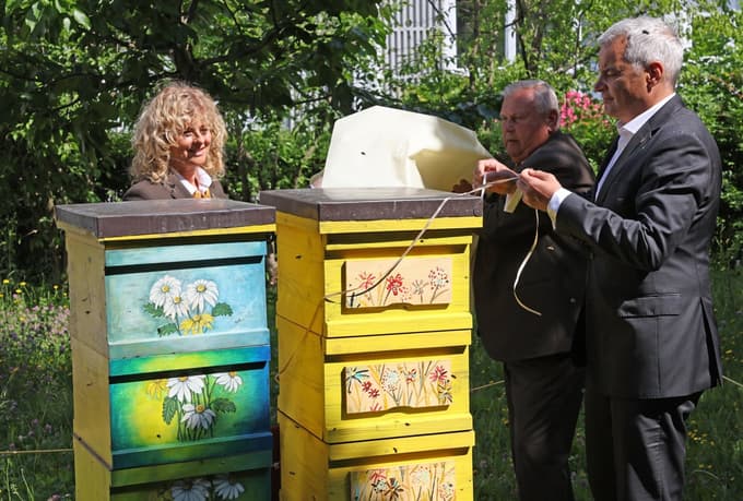 Na dvorišču mariborske občine odprli nov panj