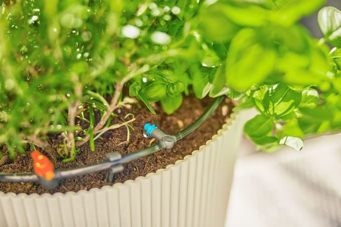 Kako si sami uredite enostaven namakalni sistem?