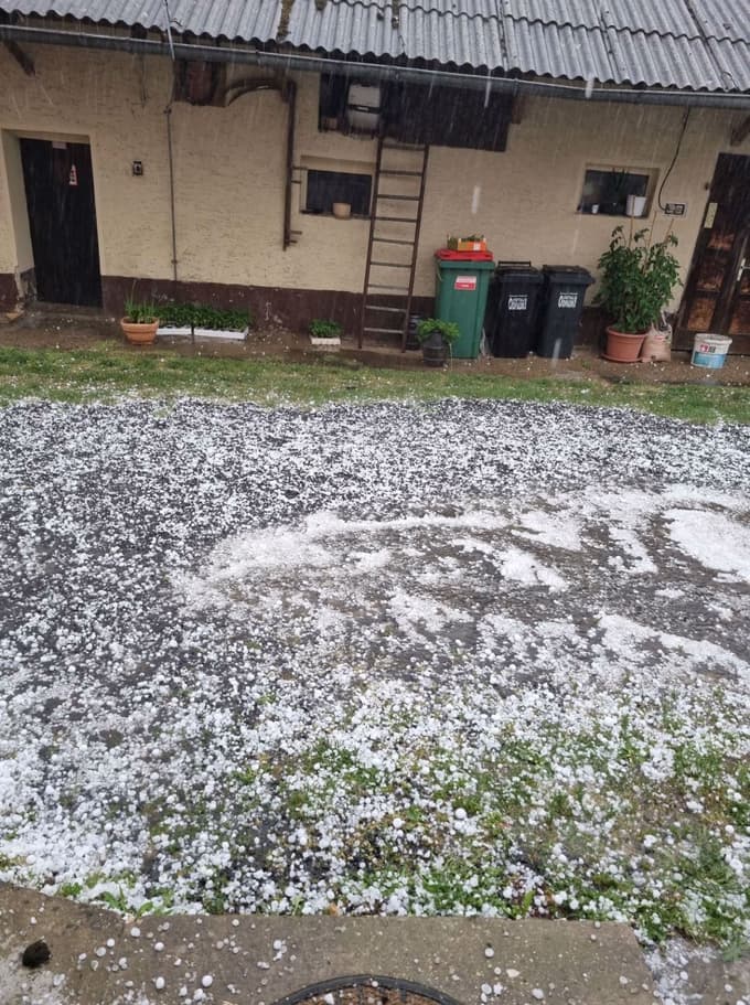 (FOTO in VIDEO) Pobeljeni travniki in ceste: Huda ura na Goričkem, klestila je kot tenis žogica velika toča