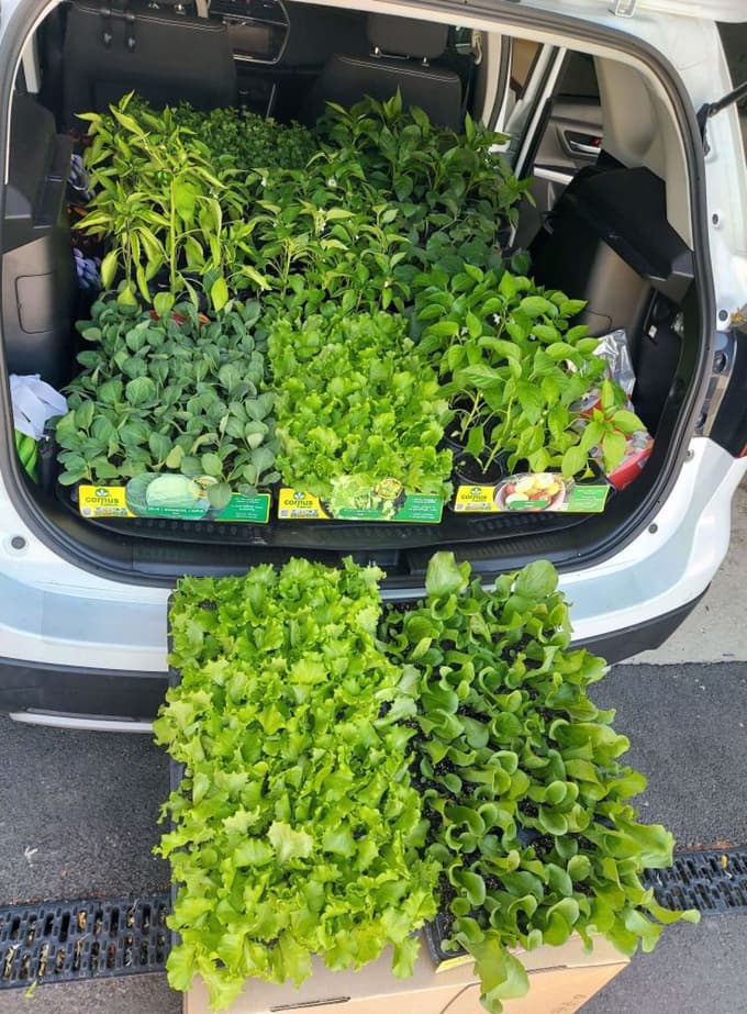 Na območje občine Gornji Petrovci, kjer je neurje včeraj povzročilo razdejanje, dostavljajo sadike zelenjave. 