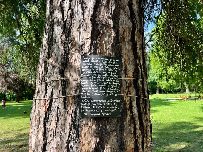 10. festival Čiči, zmeraj prinesi si koco, razstava Nike Holcl