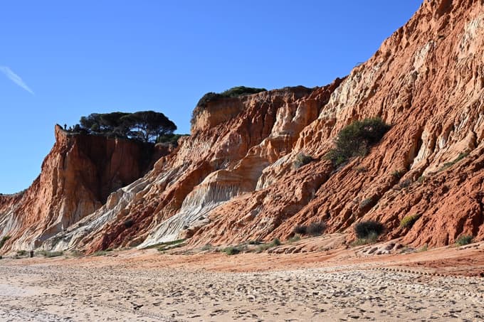 Truplo je bilo najdeno na težko dostopnem terenu.