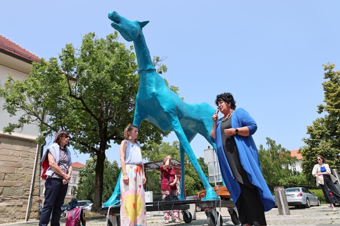S svojimi stališči in izjavami se je o pomenu deinstitucionalizacije oglasilo več posameznikov. Podpreti jih je prišla in spregovorila mariborska podžupanja Davorka Pregl. 