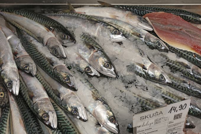 Skuše so med najcenejšimi izbirami, hkrati pa so izjemno bogate s hranili.