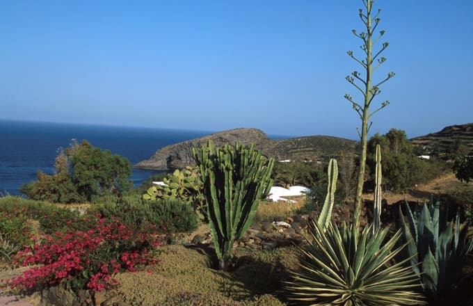 Pantelleria