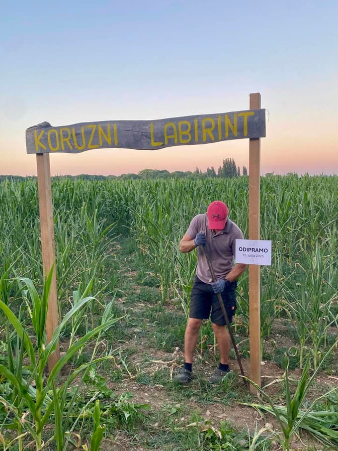 Koruzni labirint