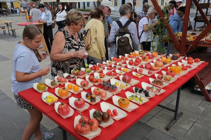 Na Osrednji mariborski tržnici je potekal Festival paradižnika in privabil številne obiskovalce. 