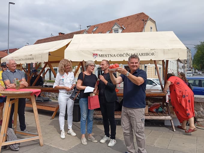 Sonja Rus je pridelala 820-gramski paradižnik, ki ga ponosno kaže direktor Marpoma in Mestnih nepremičnin Ranko Šmigoc.