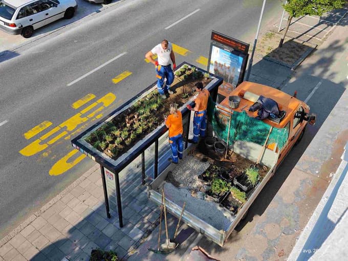 Ozelenitev nadstrešnice