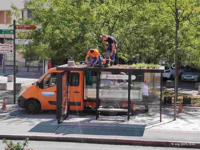 (FOTO) V Mariboru ozelenili pet avtobusnih nadstrešnic v središču mesta