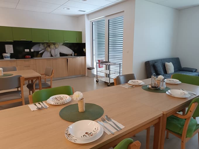 Vsaka gospodinjska enota v Domu za varstvo odraslih Velenje je lično urejena v barvi "svoje" rastline.