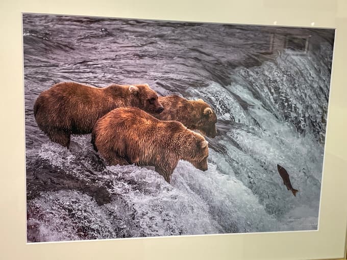 Živalski svet daljnege severa.