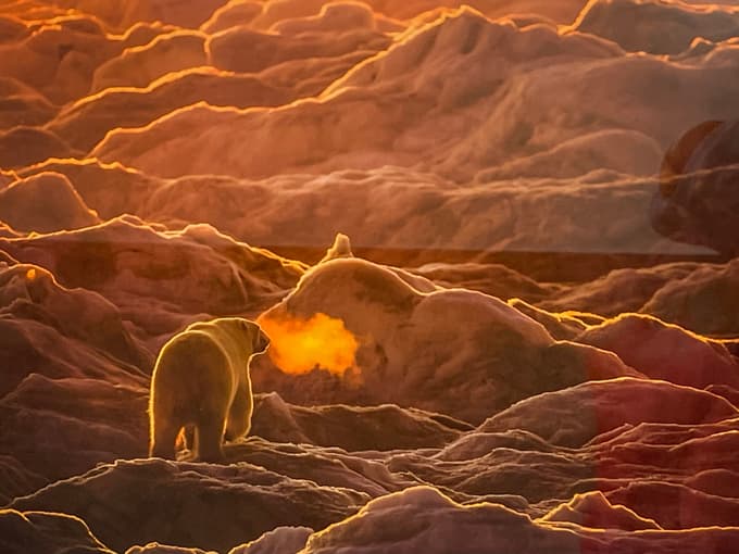 Z manjšim čolnom so se zapeljali v zalive in se razkropili po kopnem: "Tam pa se potrudiš, da prideš do dobre fotografije," pravi Žalig. 