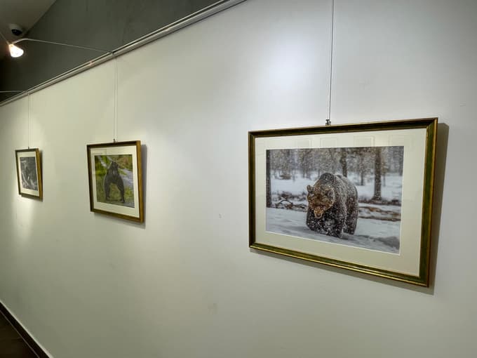 Fotografska razstava v okviru Jesenskih srečanj 