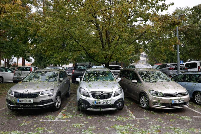 (FOTO) Burno dogajanje v Novem mestu, poglejte fotografije!