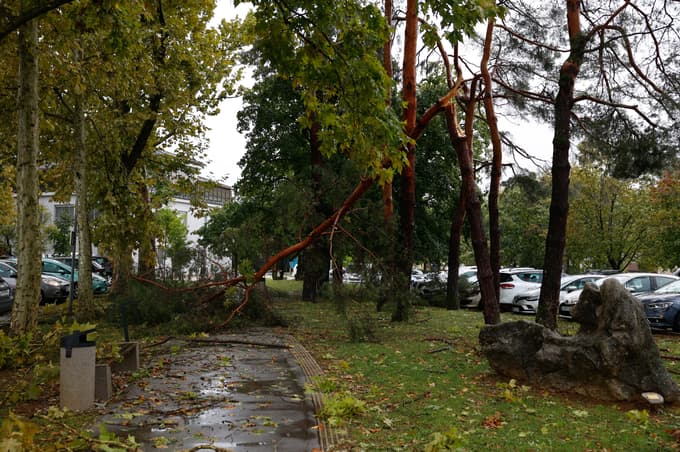 (FOTO) Burno dogajanje v Novem mestu, poglejte fotografije!