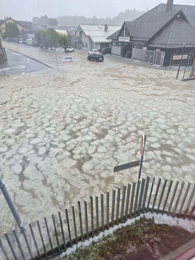 (FOTO) Burno dogajanje v Novem mestu, poglejte fotografije!