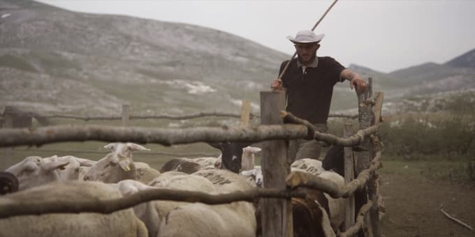 Prizor iz filma Gora se ne bo premaknila Petre Seliškar