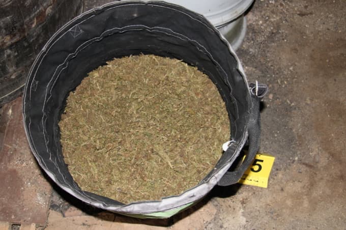 (FOTO) Policisti 40-letniku zasegli 2,5 kilograma marihuane, kokain in denar