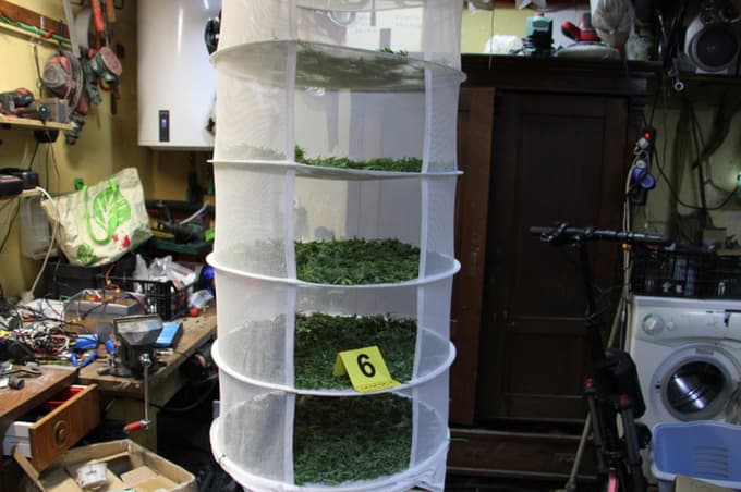 (FOTO) Policisti 40-letniku zasegli 2,5 kilograma marihuane, kokain in denar