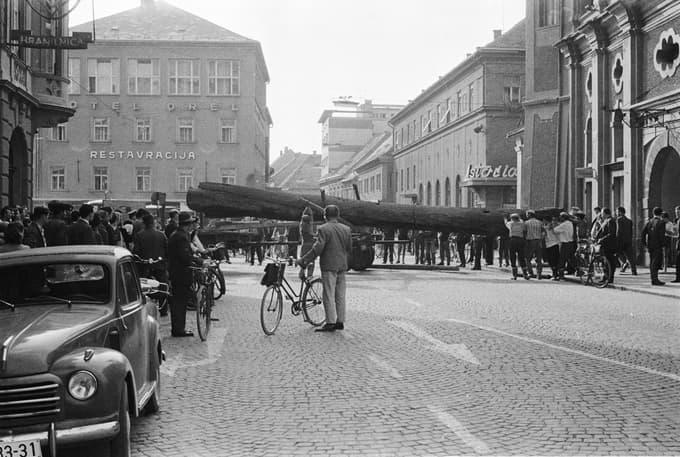 Iz kleti mariborskega pokrajinskega muzeja so potegnili čoln, star okrog 200 let; našli so ga pred 15 leti v vasi Bistrica v Prekmurju. 