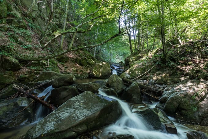 Podjetje podpira obnovo naravnih in kulturnih območij, kot sta Bistriški vintgar (na posnetku) in dvorec Štatenberg, ter sponzorira športna društva in lokalne dogodke.