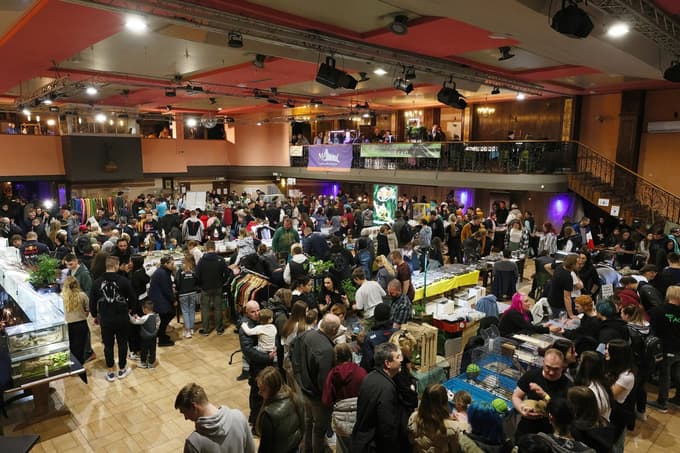 V Mariboru znova sejem eksotičnih živali