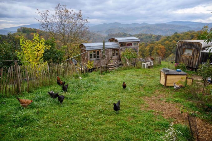 S svojimi živalmi si je uredila življenje, kakršno si je od nekdaj želela.