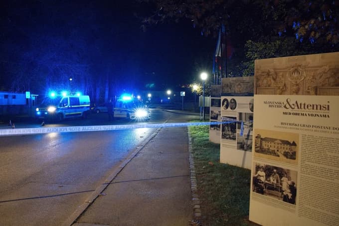 Slovenska Bistrica - Zaprta Grajska ulica - Park ob gradu - Družba - Kronika - Ropi - Rop v Slovenski Bistrici - policija iskala storilca v parku - Policija -