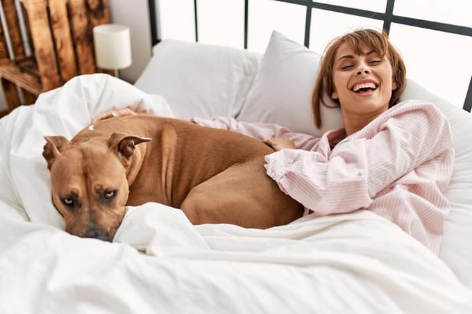 Preveč radovedni taček: Ali bi morali psa med spolnostjo poslati iz spalnice?