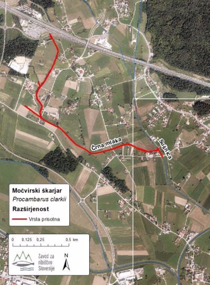 Zemljevid območja prisotnosti raka močvirskega škarjarja