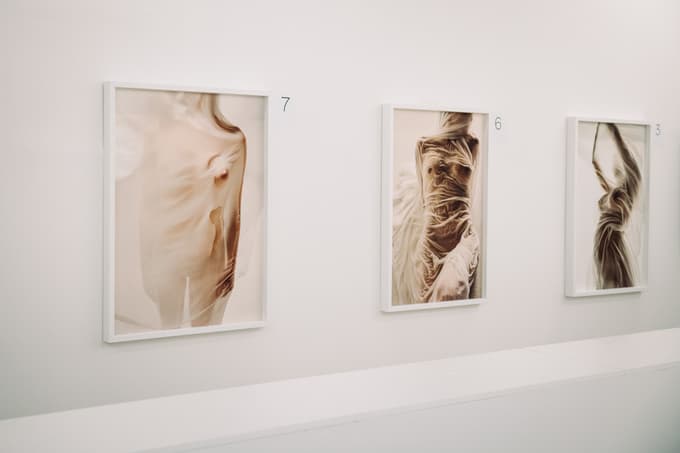 Zgodba številka 11 – ko umetnost poveže lepoto, pogum in dobrodelnost