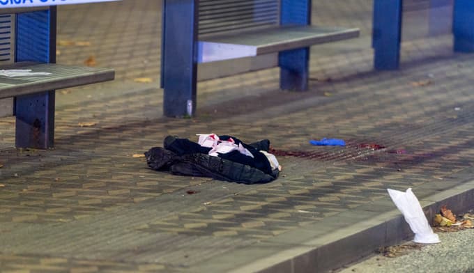 (FOTO) Napadalec z Bavarskega dvora je bil policiji znan že od prej, ni pa še bil nikoli kaznovan