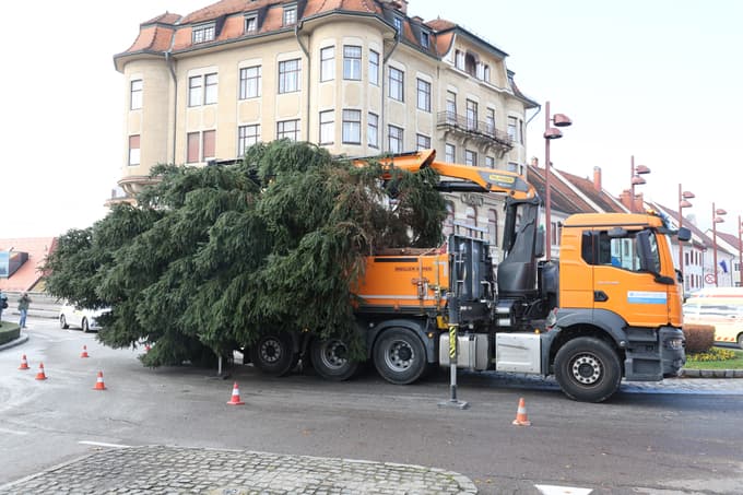 (FOTO) Glavni trg v Mariboru letos krasi podarjena smreka iz Peker