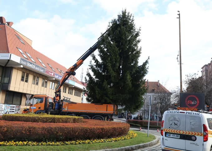 (FOTO) Glavni trg v Mariboru letos krasi podarjena smreka iz Peker