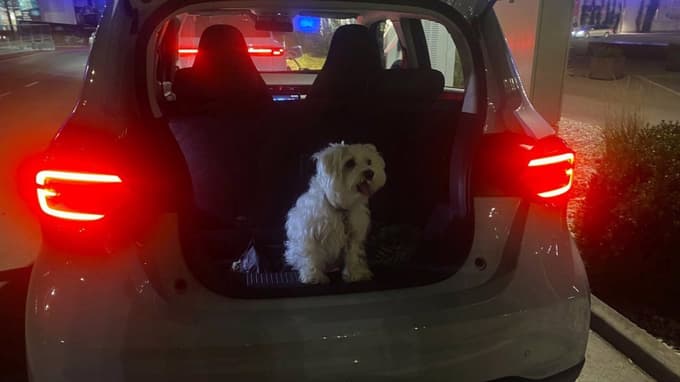 V prtljažnik gre zlahka kopica velikih nakupovalnih vrečk in še kaj.