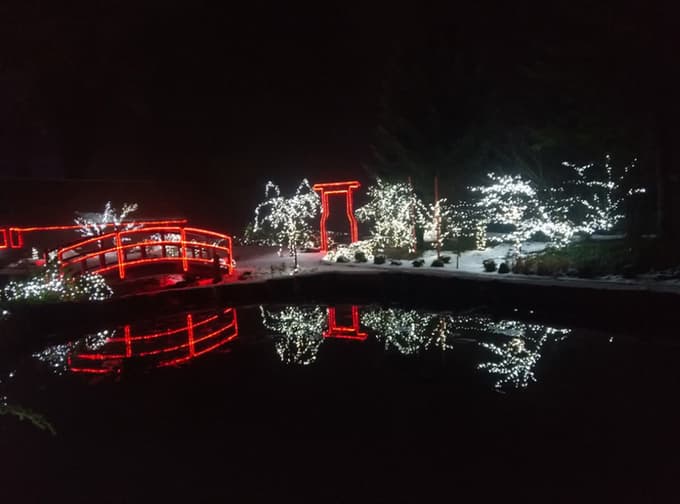 Mozirski gaj vabi na obisk v podobi Božične bajke Slovenije