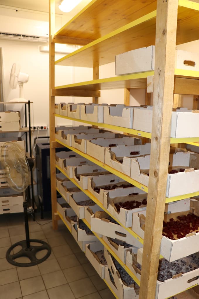 (FOTO) 42-letnik izdeloval in prodajal žele bonbone in čokolade s THC-jem, za prvo policijsko preiskavo se ni zmenil