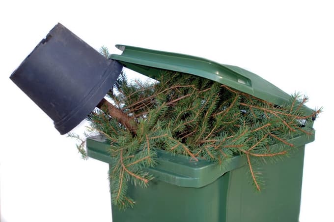 Je popraznična depresija resnična? Kako se spopasti s tišino in praznino januarja