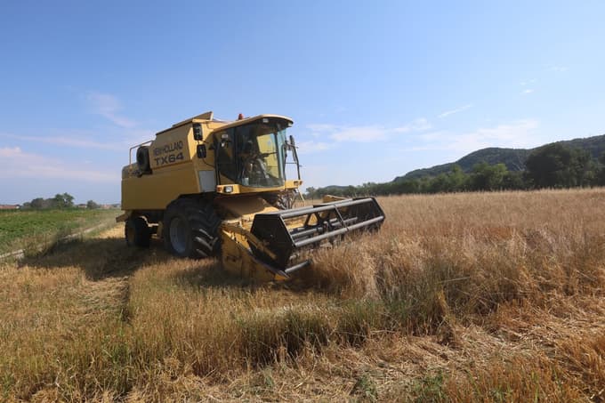 Številke so dovolj zgovorne. Smo zelo slabo samooskrbni na področju zelenjave, žit, kaš, stročnic in sadja. Le 30-40 odstotkov jih pridelamo pri nas, vse ostalo uvozimo.